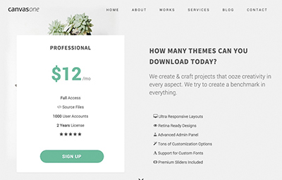 Pricing